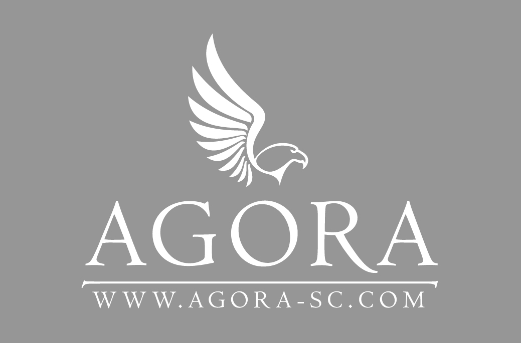 AGORA Strategy Consulting